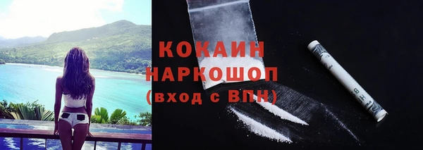 сатива Киренск